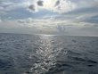 Monday September 16th 2024 Tropical Destiny: French Reef reef report photo 1