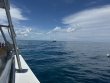 Friday September 20th 2024 Tropical Destiny: Molasses Reef reef report photo 1