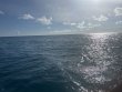 Sunday September 29th 2024 Tropical Destiny: Benwood Wreck reef report photo 1