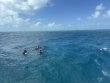 Saturday November 2nd 2024 Tropical Destiny: Nine Channel reef report photo 1