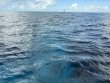 Tuesday November 12th 2024 Tropical Destiny: North Star reef report photo 1