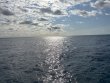 Sunday November 24th 2024 Tropical Destiny: HourGlass reef report photo 1