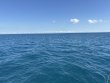 Friday December 20th 2024 Tropical Destiny: French Reef reef report photo 1