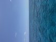 Friday May 16th 2025 Tropical Destiny: Drift French reef report photo 3