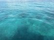 Saturday June 7th 2025 Tropical Destiny: North Dry Rocks reef report photo 1