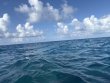 Monday June 16th 2025 Tropical Destiny: Eagle Ray Alley reef report photo 1