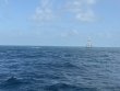 Friday July 11th 2025 Tropical Destiny: Eagle Ray Alley reef report photo 1