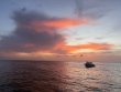 Saturday July 12th 2025 Tropical Destiny: Benwood Wreck reef report photo 1