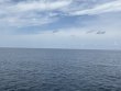 Monday July 14th 2025 Tropical Destiny: JJs Cave reef report photo 1