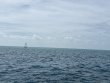 Sunday July 27th 2025 Tropical Destiny: Nine Channel reef report photo 1