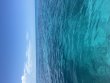 Friday August 1st 2025 Tropical Destiny: Minnow Cave reef report photo 1