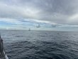 Monday September 22nd 2025 Tropical Destiny: Eagle Ray Alley reef report photo 1