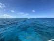 Wednesday September 24th 2025 Tropical Destiny: Winch Hole reef report photo 1