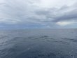 Saturday October 11th 2025 Tropical Destiny: USCGC Duane reef report photo 1