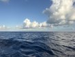 Sunday March 29th 2026 Tropical Destiny: Spiegel Grove reef report photo 1