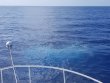 Sunday July 1st 2018 Tropical Destiny: USCGC Duane reef report photo 1