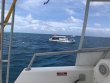Tuesday August 28th 2018 Tropical Destiny: Spanish Anchor reef report photo 1