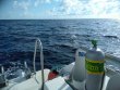 Sunday November 11th 2018 Tropical Destiny: USCGC Duane reef report photo 1