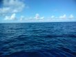 Tuesday November 27th 2018 Tropical Destiny: USCGC Duane reef report photo 1