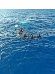 Thursday April 25th 2019 Tropical Destiny: USCGC Duane reef report photo 1