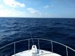 Thursday January 2nd 2020 Tropical Destiny: USCGC Duane reef report photo 1