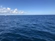 Monday November 22nd 2021 Tropical Explorer: Drift French reef report photo 1