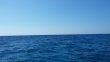 Thursday April 2nd 2015 Tropical Explorer: USCGC Duane reef report photo 1