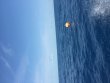 Friday April 15th 2016 Tropical Explorer: Benwood Wreck reef report photo 1