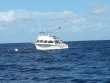 Sunday July 31st 2016 Tropical Explorer: Spiegel Grove reef report photo 3