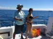 Saturday November 12th 2016 Tropical Explorer: Snapper Ledge reef report photo 1