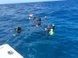 Sunday July 9th 2017 Tropical Explorer: Rebreather - Drift MO reef report photo 2