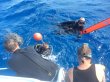 Friday November 17th 2017 Tropical Explorer: Drift Molasses reef report photo 1