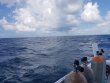 Sunday August 5th 2018 Tropical Explorer: Drift French reef report photo 1