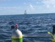 Sunday August 19th 2018 Tropical Explorer: Drift Molasses reef report photo 1