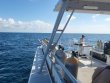 Saturday August 5th 2023 Tropical Legend: Spiegel Grove reef report photo 1