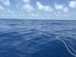Friday May 16th 2025 Tropical Legend: Spiegel Grove reef report photo 1