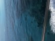 Tuesday July 22nd 2025 Tropical Legend: Molasses Reef reef report photo 1