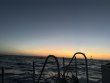 Saturday July 26th 2025 Tropical Legend: North Star reef report photo 1