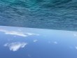 Tuesday July 29th 2025 Tropical Legend: Eagle Ray Alley reef report photo 1