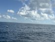 Saturday August 2nd 2025 Tropical Legend: Nine Channel reef report photo 1