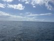 Thursday October 2nd 2025 Tropical Legend: Fire Coral Cave reef report photo 1