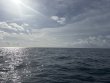 Sunday October 5th 2025 Tropical Legend: Benwood Wreck reef report photo 1