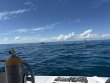 Sunday October 12th 2025 Tropical Legend: Eagle Ray Alley reef report photo 1