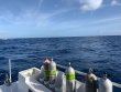 Tuesday February 11th 2020 Tropical Legend: Spiegel Grove reef report photo 1