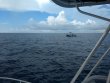 Monday September 28th 2020 Tropical Odyssey: Spiegel Grove reef report photo 1