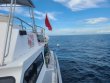 Thursday October 1st 2020 Tropical Odyssey: Spiegel Grove reef report photo 1