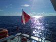 Friday August 20th 2021 Tropical Odyssey: USCGC Duane reef report photo 3