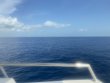 Monday September 6th 2021 Tropical Odyssey: USCGC Duane reef report photo 1