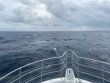 Thursday November 11th 2021 Tropical Odyssey: Spiegel Grove reef report photo 1