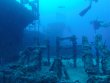 Tuesday June 18th 2024 Tropical Odyssey: Spiegel Grove reef report photo 1